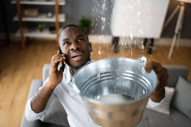 Best Basement water damage restoration  in Butner, NC