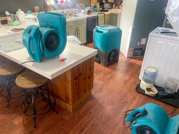 Best Water damage cleanup near me  in Butner, NC