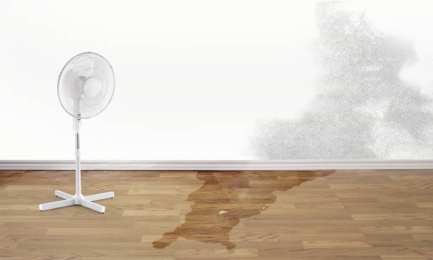Best 24/7 water damage repair  in Butner, NC