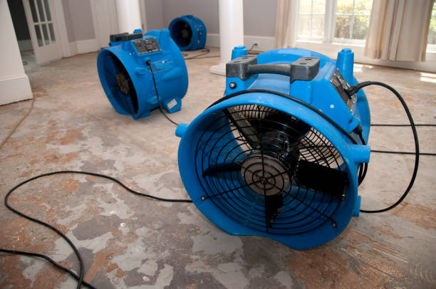 Best Residential water damage restoration  in Butner, NC